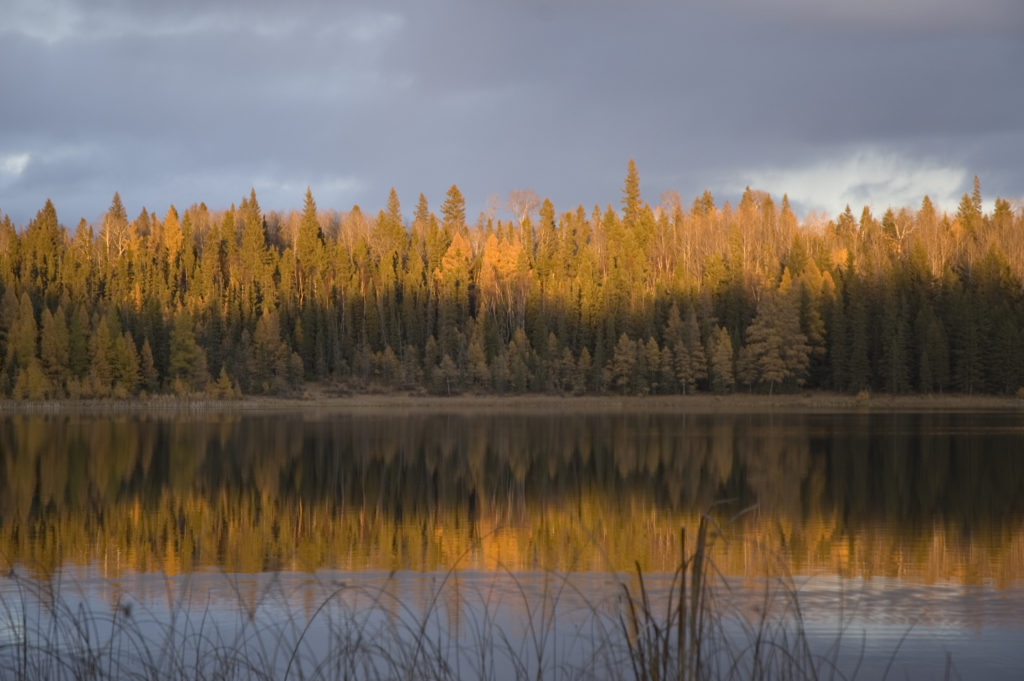 Riding Mountain National Park