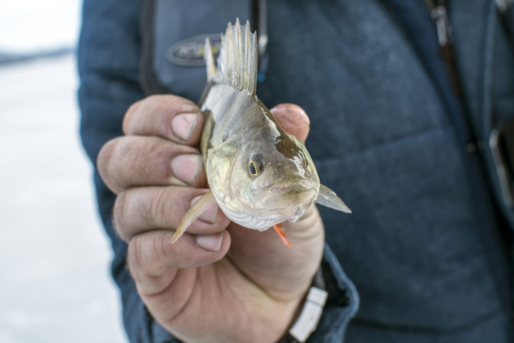 Ice Fishing