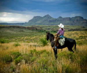 Big Bend Ranch State Park