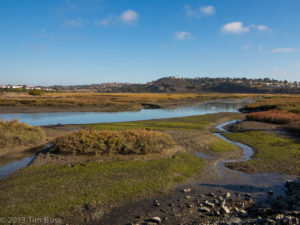 beachside RV parks san elijo