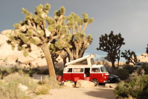 summer campsites Joshua Tree