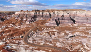 blue mesa petrified forest campsites