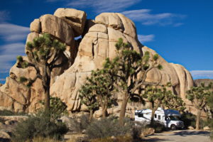 joshua tree national park campsites