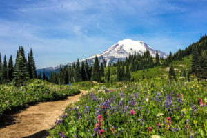 mount rainier national park