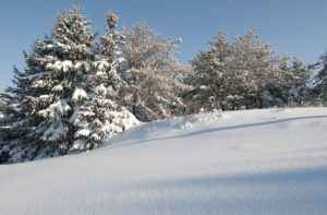 snowmobiling in ontario canada