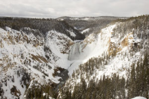 yellowstone national park snowmobiling