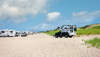 Pacific Sand Dunes