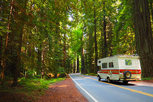 motorhome in forrest