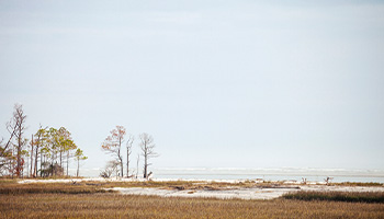Hunting Island State Park, an RV park and state park in South Carolina
