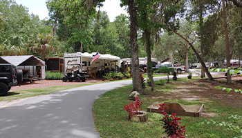 RVs parked in Nature's RV Resort Park