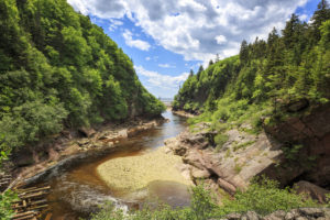 Fundy National Park