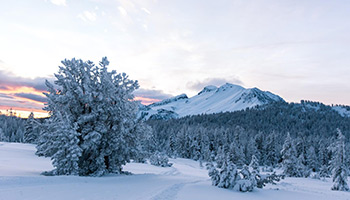 A view of Mammoth Mountain 