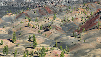 Image of the painted dunes in California, which are red and brown colored dunes created by volcanic ash.