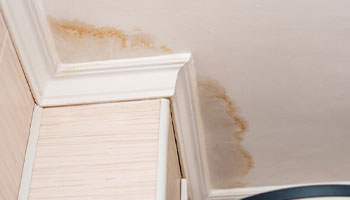 water damage discoloration on a ceiling. white ceiling has turned brown in color 