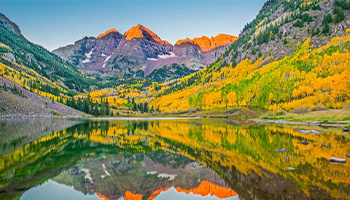 Aspen fall foliage