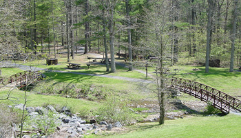 Braley Pond, a day use area in Virginia