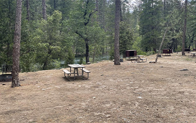 Wawona Campground in Yosemite, one of the many RV campgrounds in California