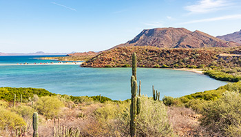 Baja, California - mexico