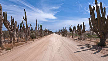 baja roads